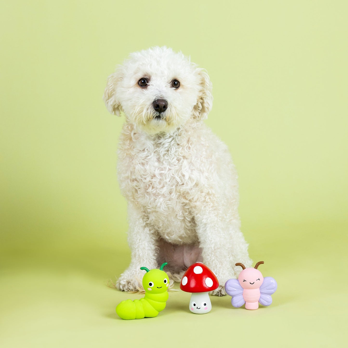 Latex Insect Dog Toy
