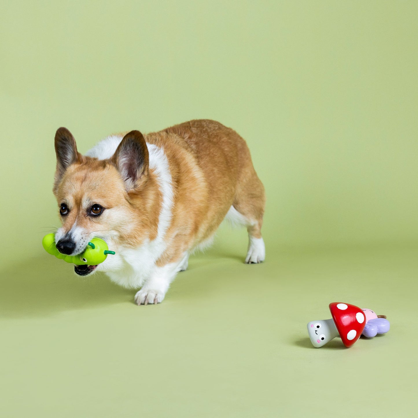 Latex Insect Dog Toy