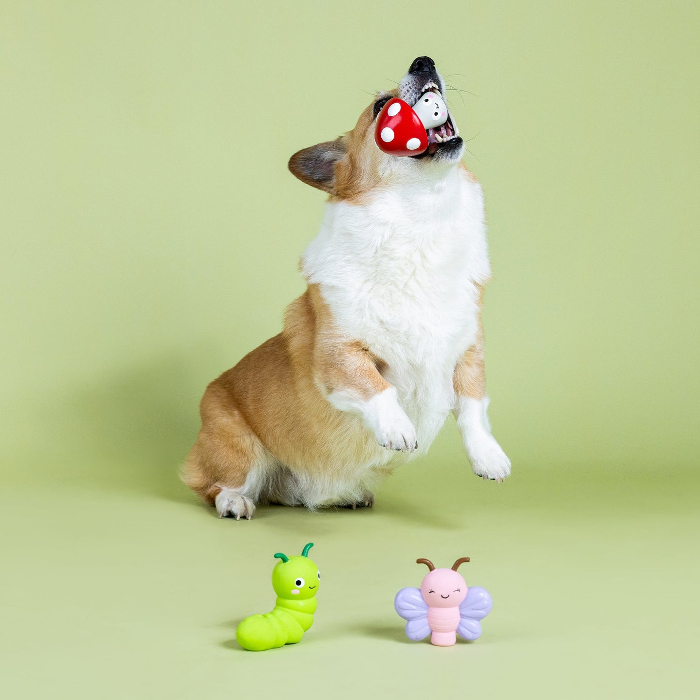 Latex Insect Dog Toy
