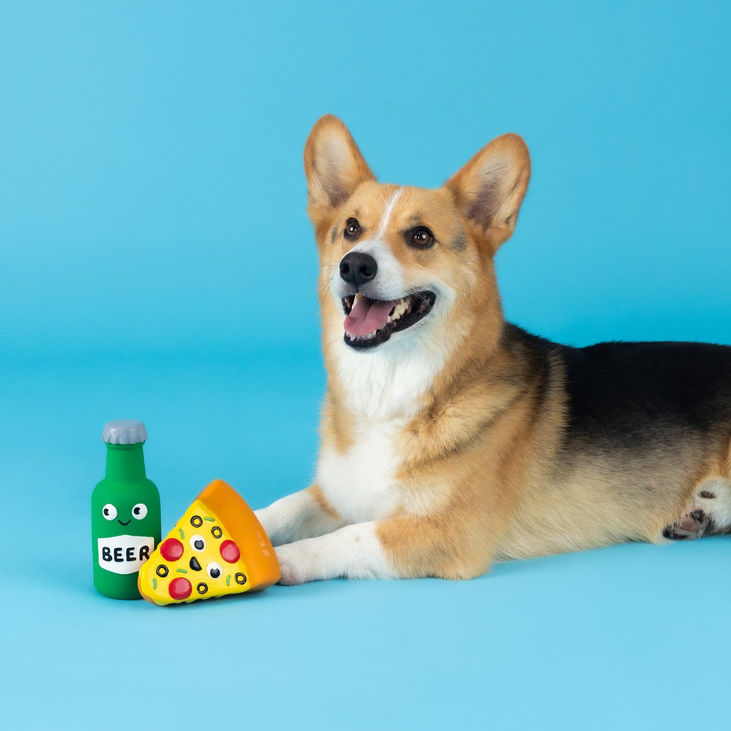 Latex Pizza Dog Toy2